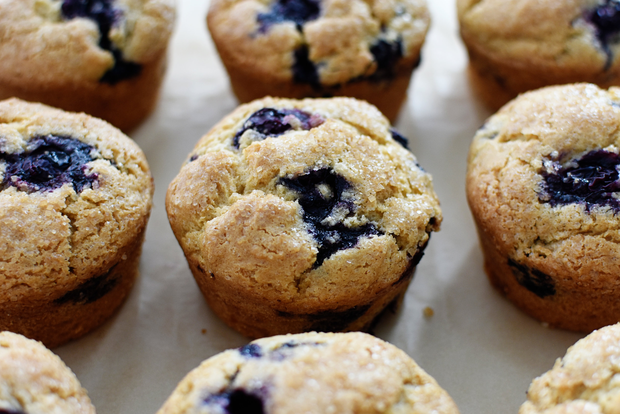 Blueberry Muffins 2.jpg